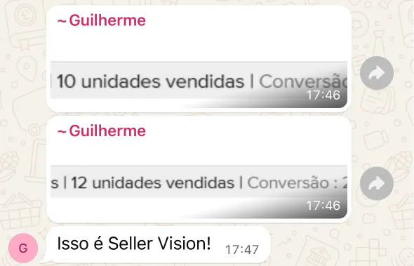 WebP-SellerVisionDep13